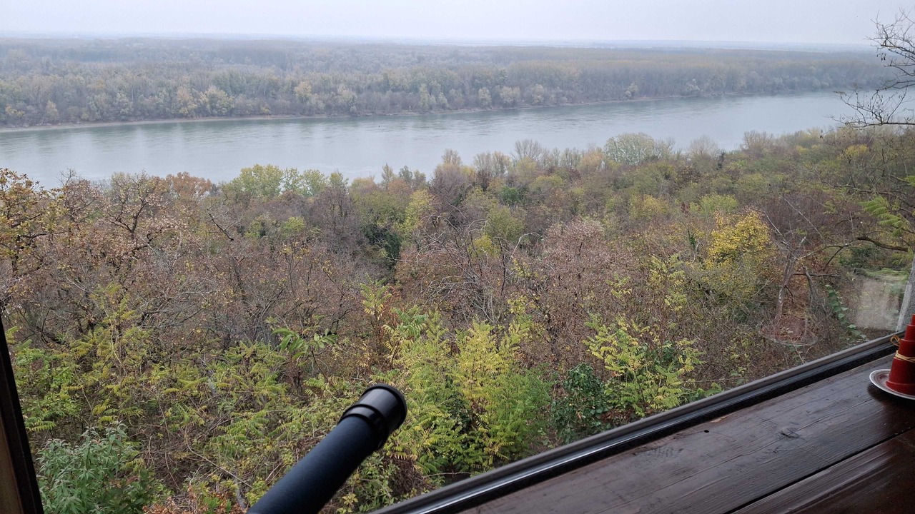 Photo of Outdoor in Erdut