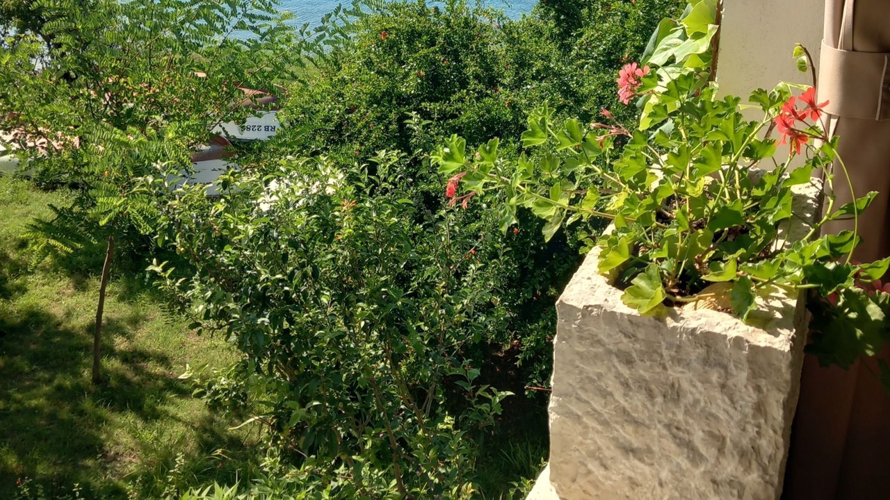 Photo of Others in Supetarska Draga