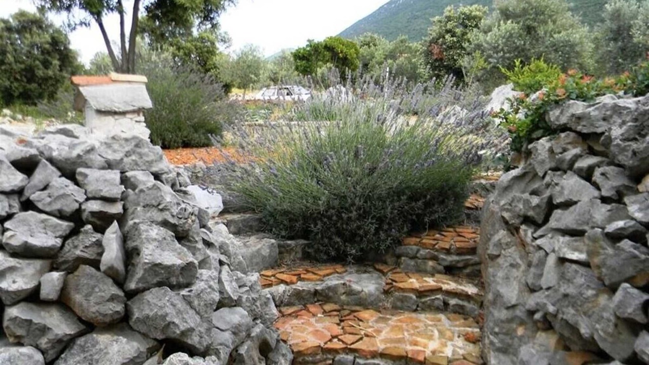 Photo of Outdoor in Trpanj