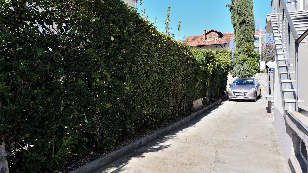 Photo of Others in Cizici
