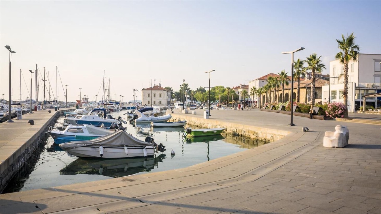 Photo of Others in Koper