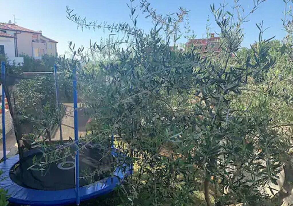 Photo of Outdoor in Stinjan