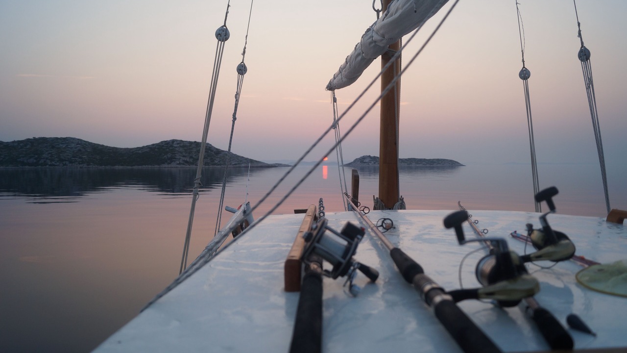 Photo of Others in Biograd na Moru
