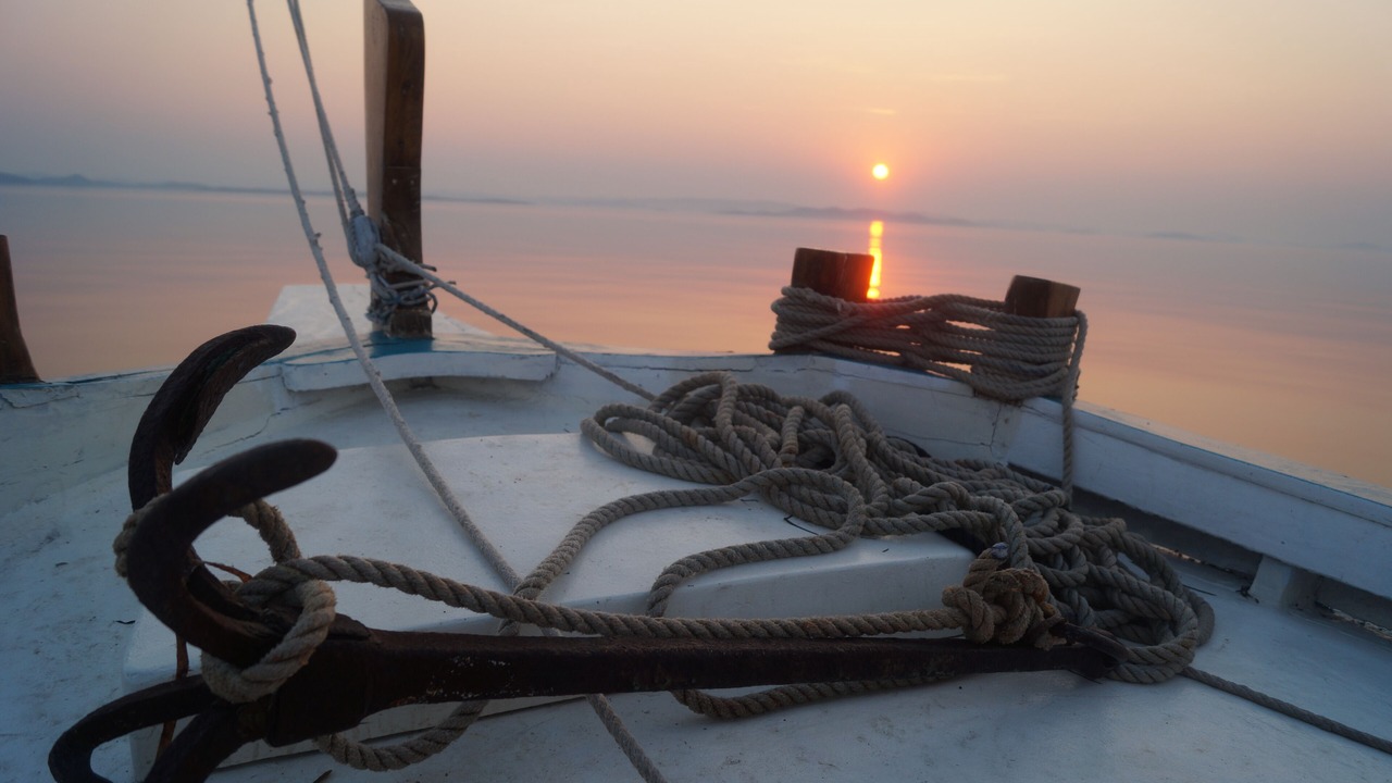 Photo of Others in Biograd na Moru