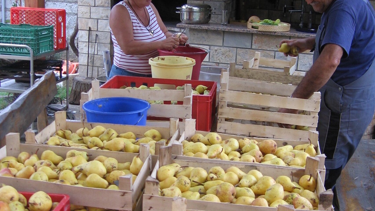 Photo of Others in Biograd na Moru