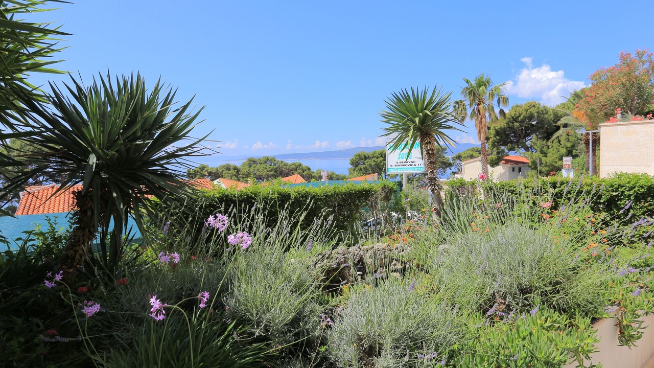 Photo of Outdoor in Brela