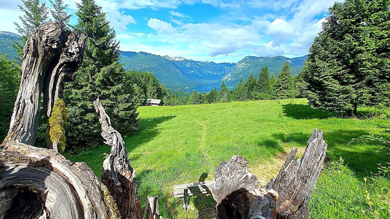 Photo of Others in Bohinj