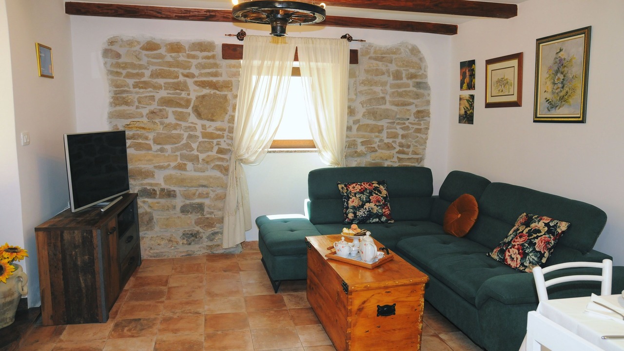 Photo of Livingroom in Draguc