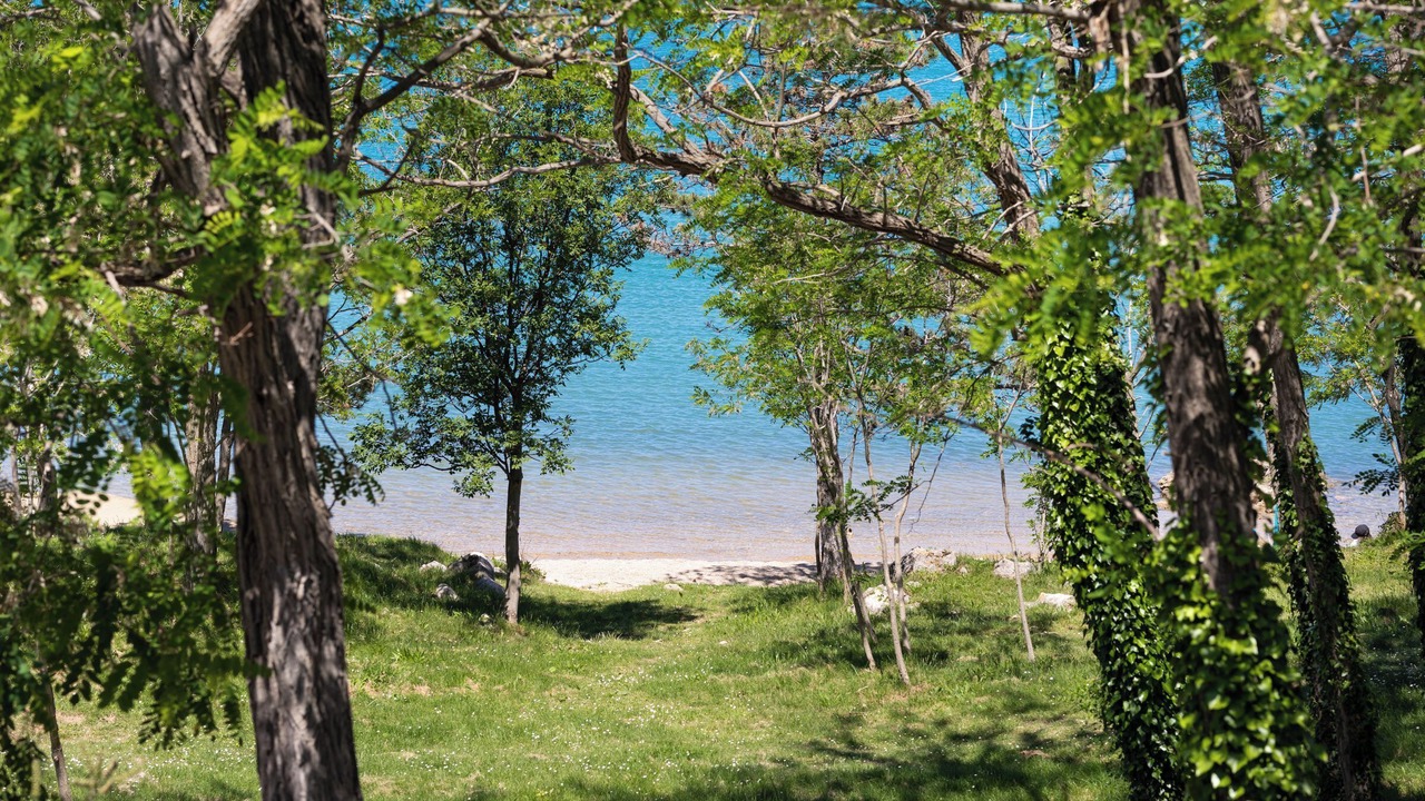 Photo of Others in Soline