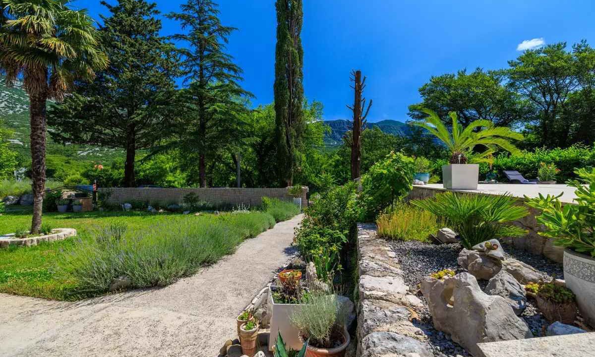 Photo of Outdoor in Tribalj