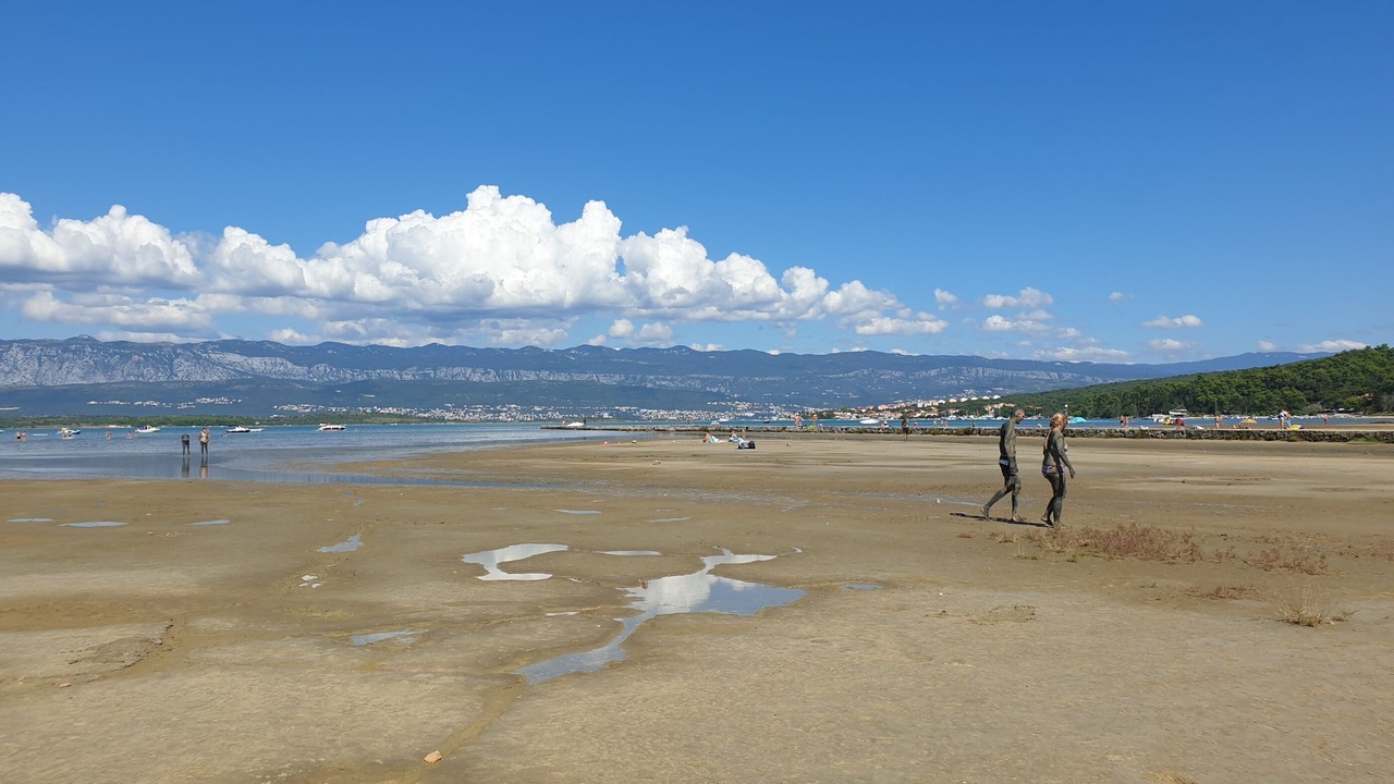 Photo of Others in Soline