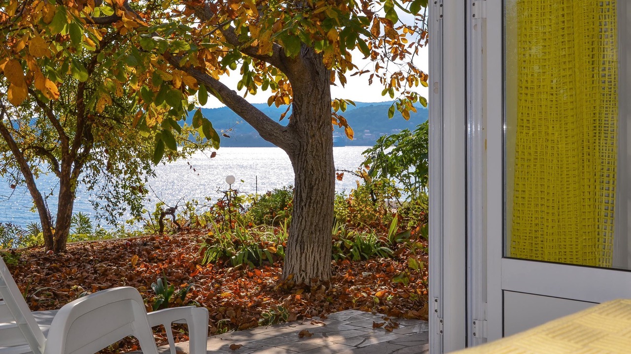 Photo of Outdoor in Kuciste