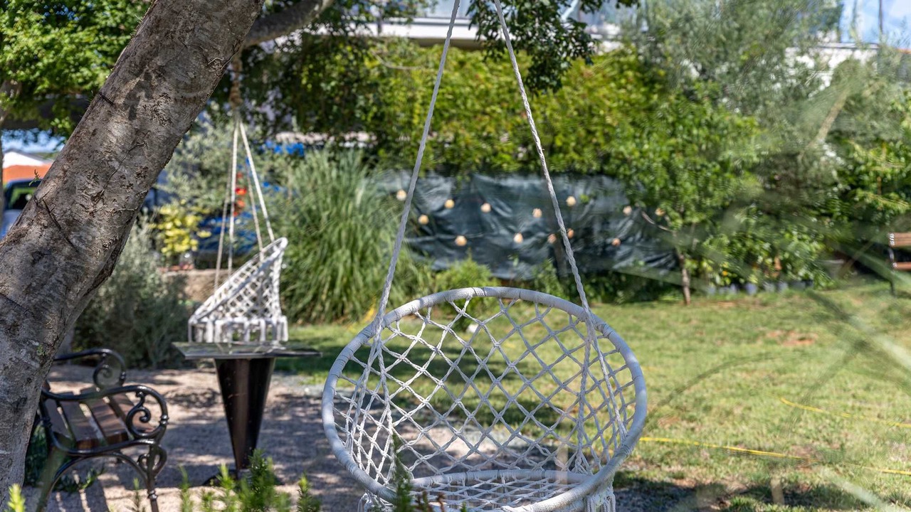 Photo of Outdoor in Milovcici