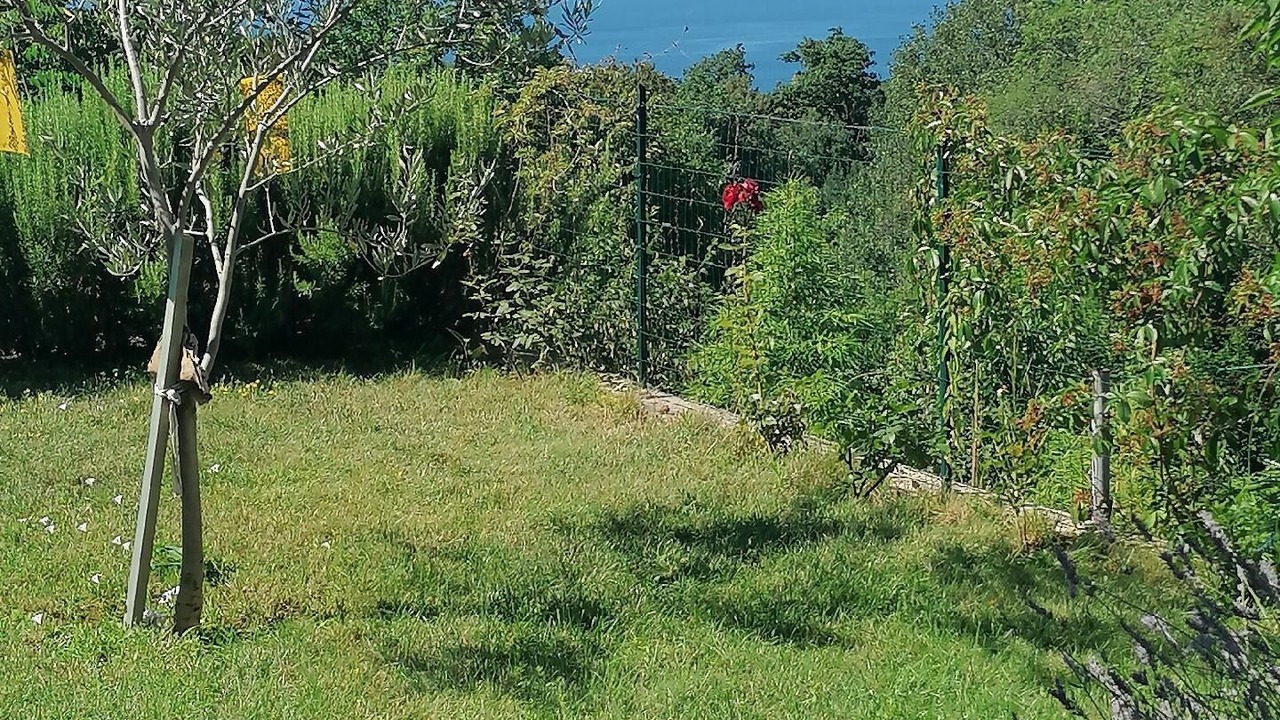 Photo of Outdoor in Rubesi