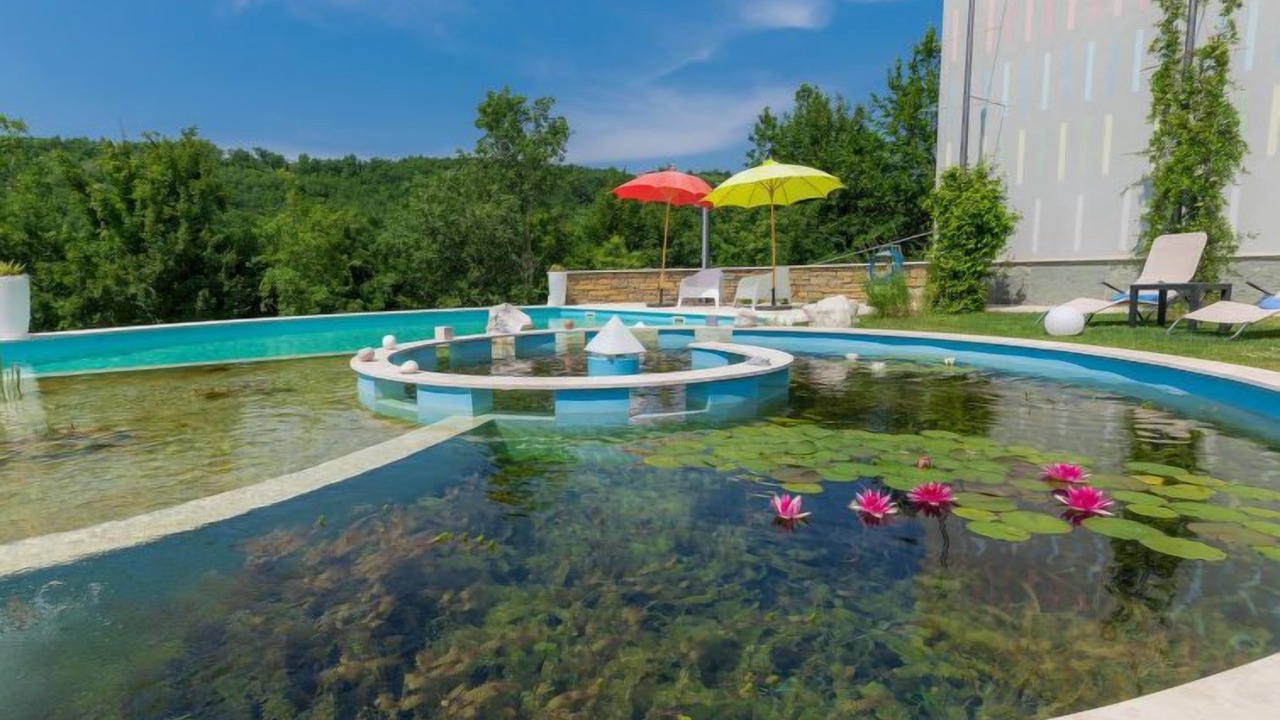 Photo of Outdoor in Momjan