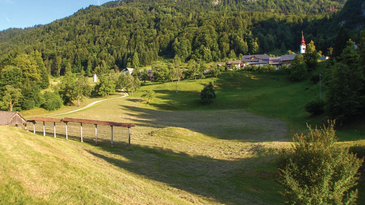 Photo of Others in Bled