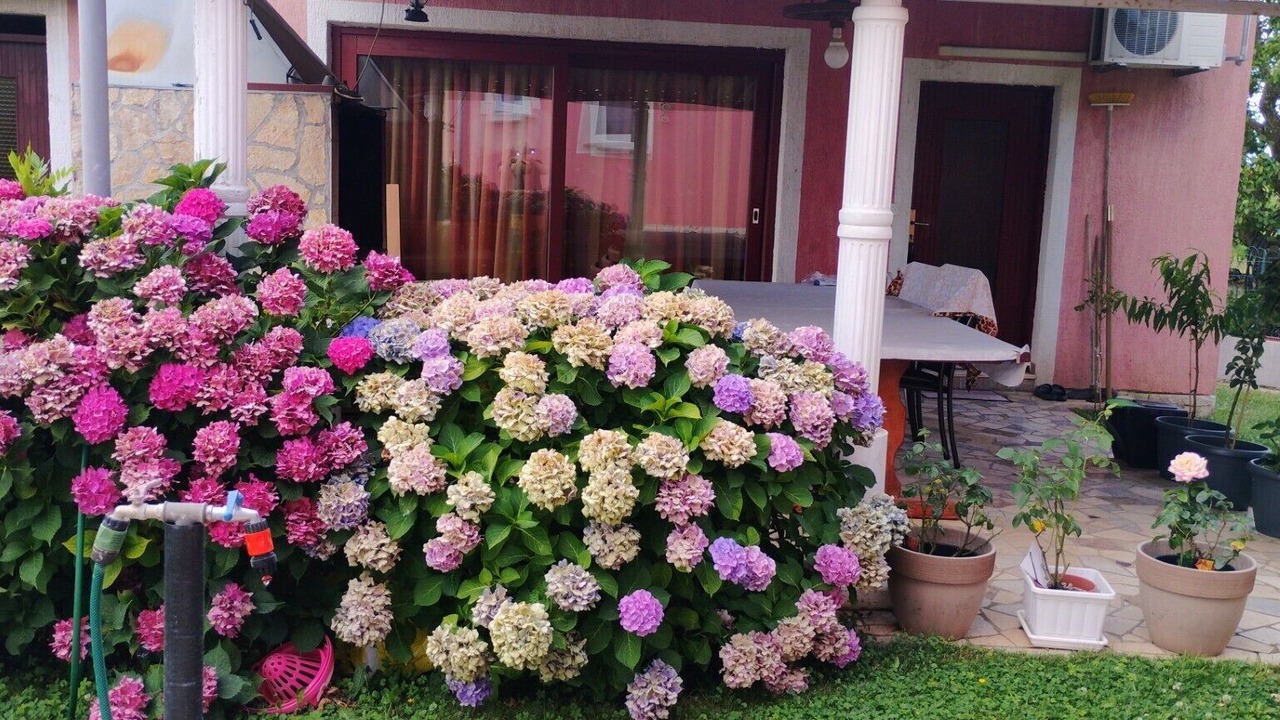 Photo of Outdoor in Vrvari
