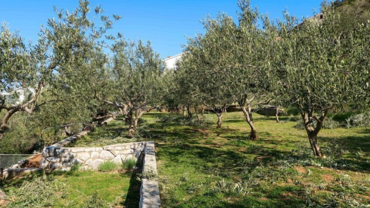 Photo of Outdoor in Supetarska Draga