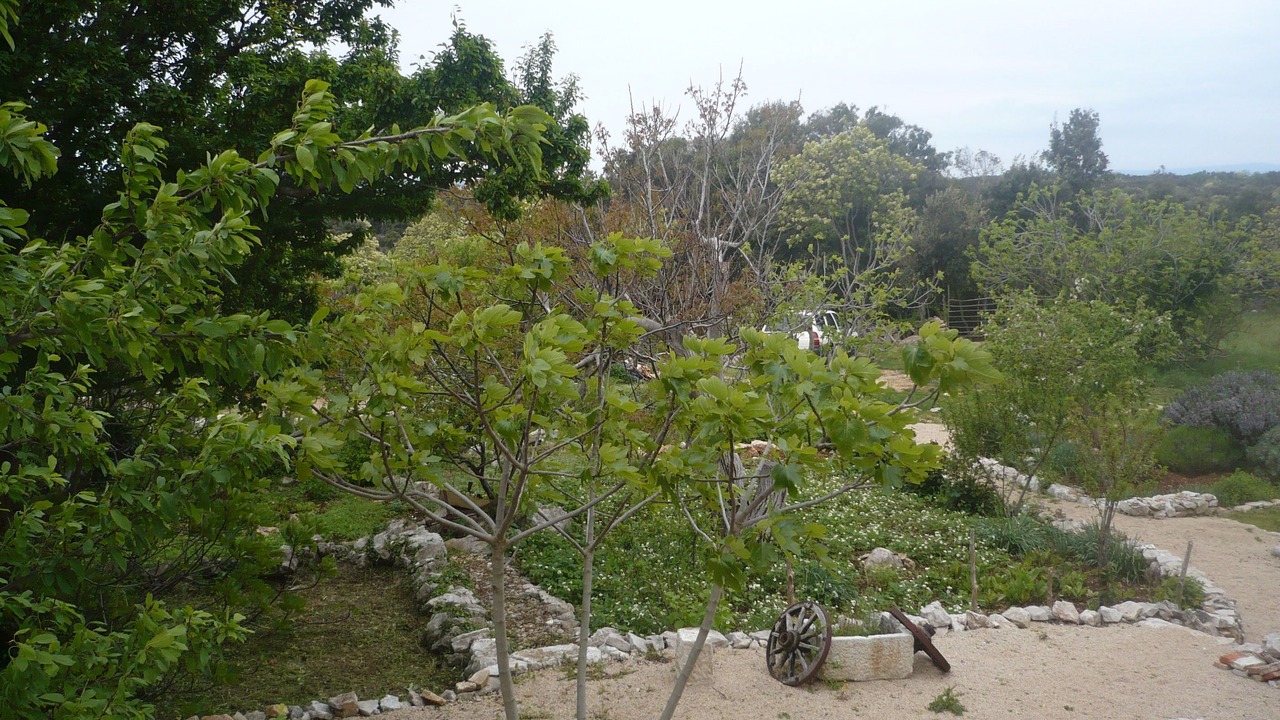 Photo of Outdoor in Cres