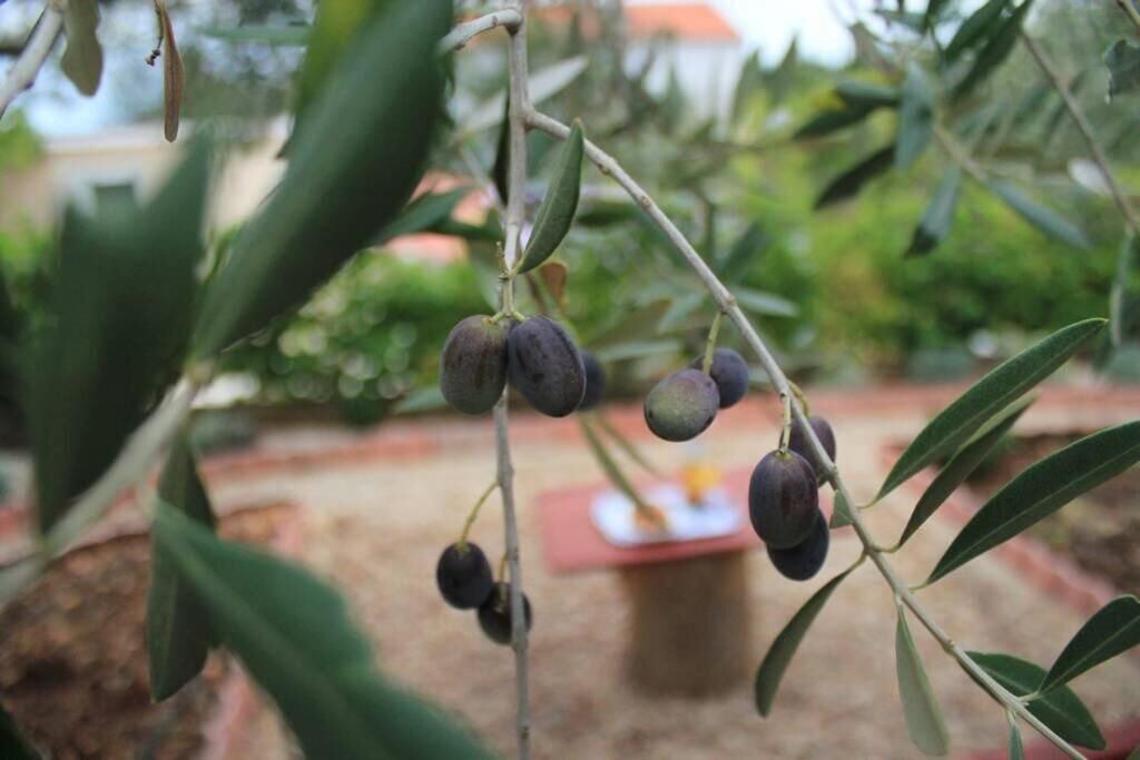 Photo of Outdoor in Lukoran