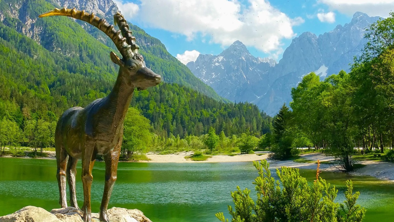 Photo of Others in Kranjska Gora