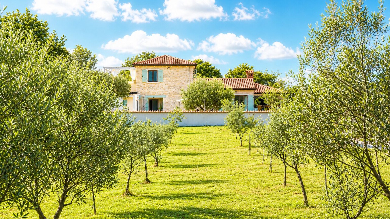 Photo of Outdoor in Jursici