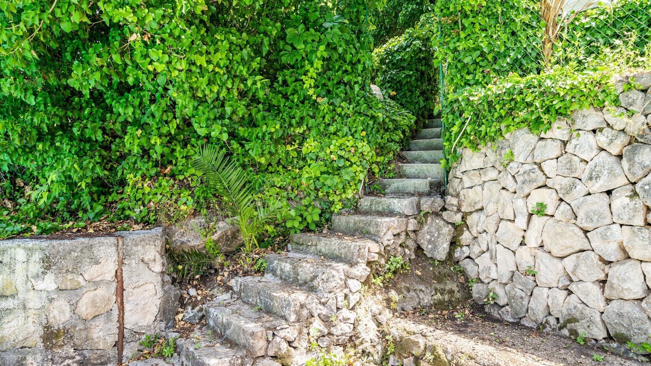 Photo of Outdoor in Cavtat