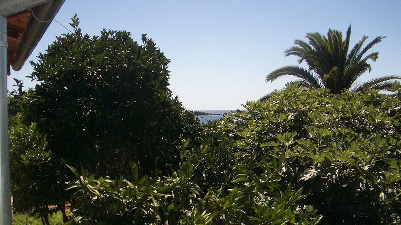 Photo of Outdoor in Molunat