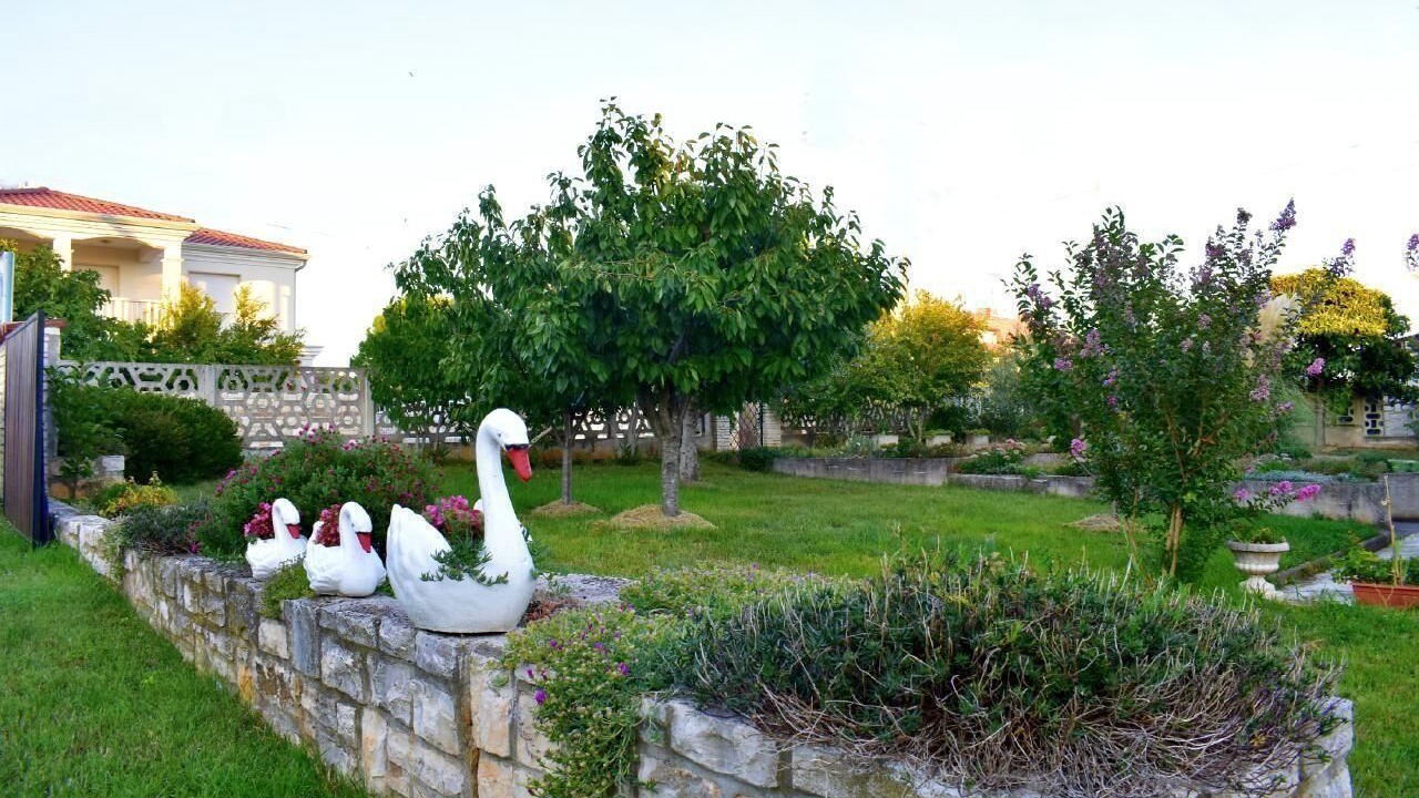 Photo of Outdoor in Zambratija