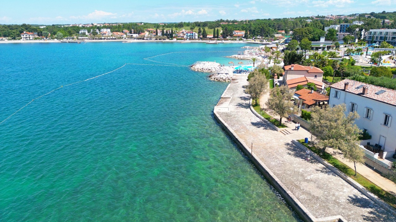 Photo of Outdoor in Spadici