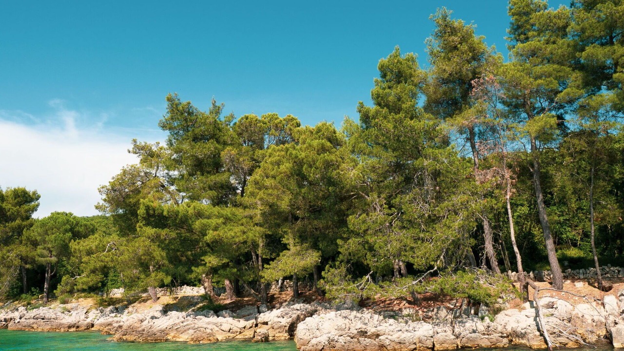 Photo of Outdoor in Klimno