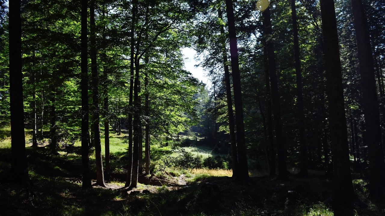 Photo of Outdoor in Zrece