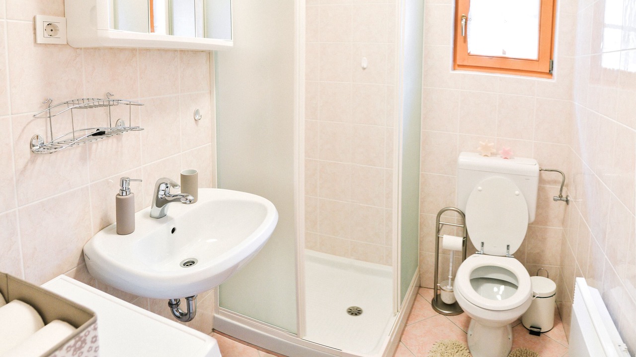 Photo of Bathroom in Log pod Mangartom