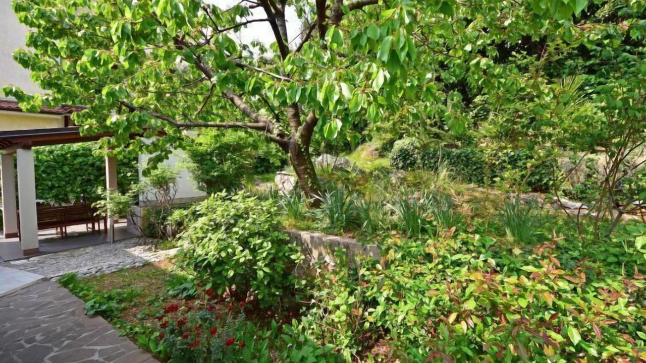 Photo of Outdoor in Volosko