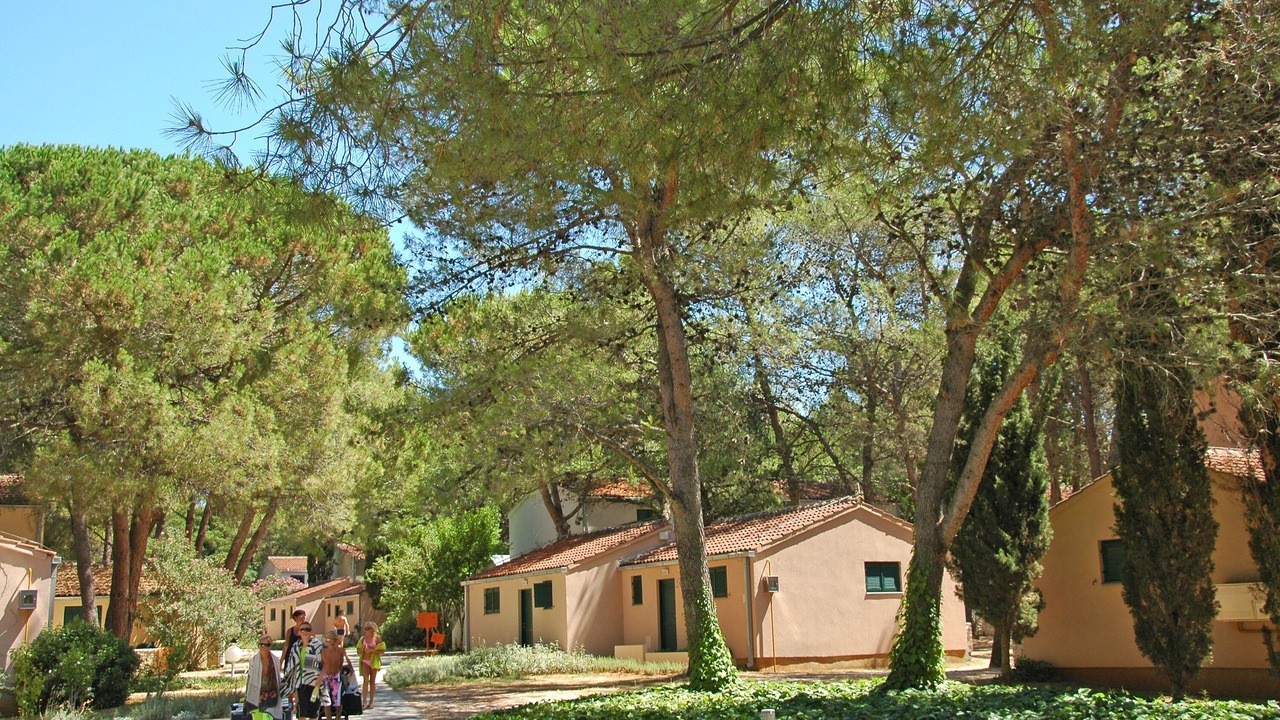 Photo of Outdoor in Zaton