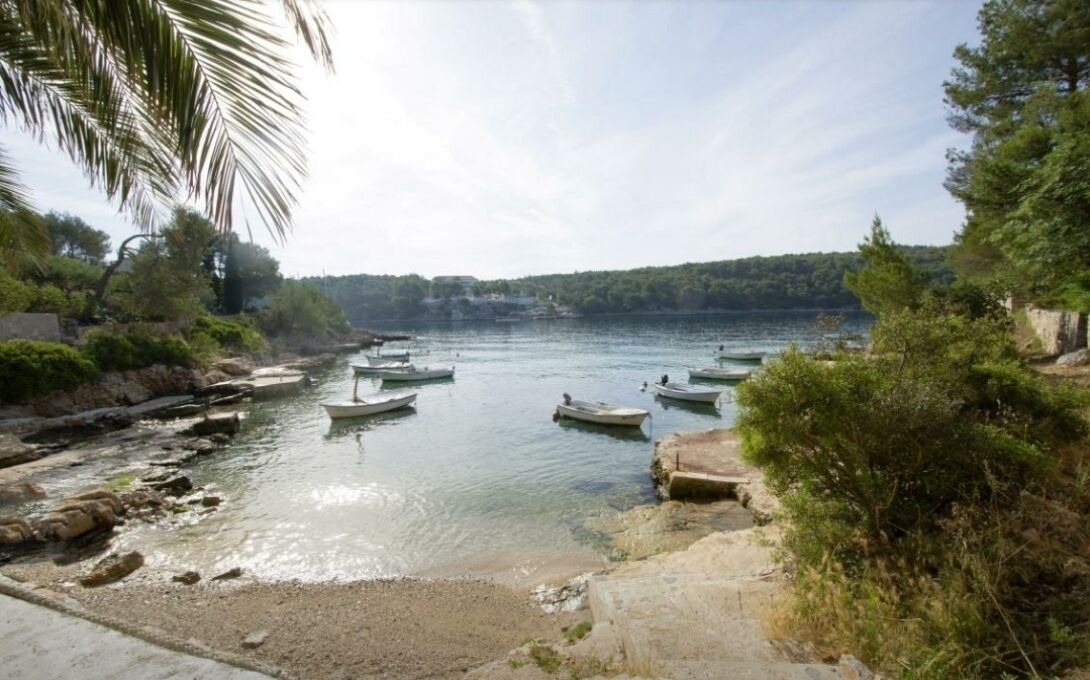 Photo of Others in Cove Osibova (Milna)