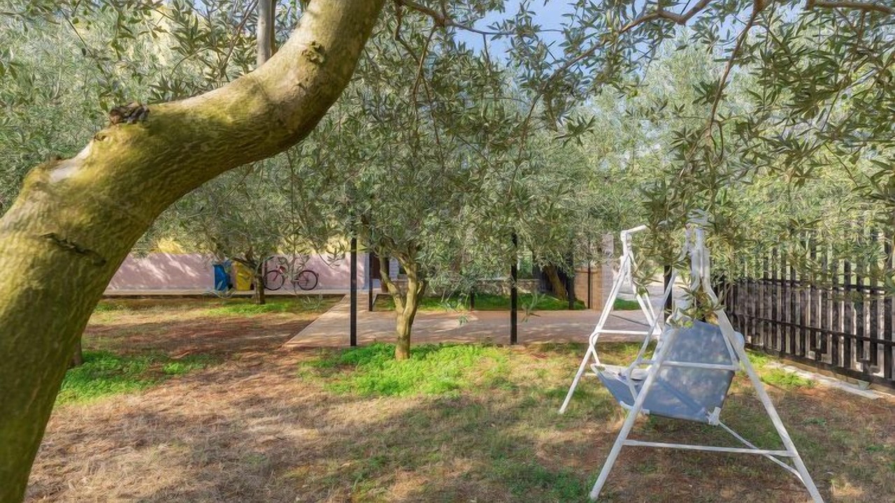 Photo of Outdoor in Galizana