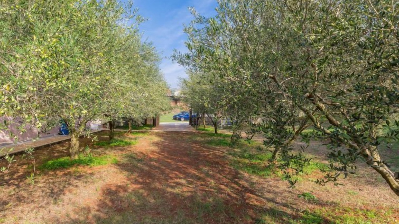 Photo of Outdoor in Galizana