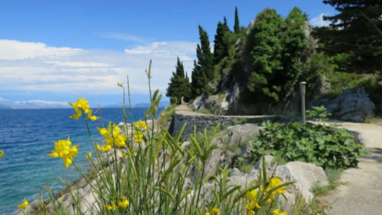 Photo of Outdoor in Trpanj