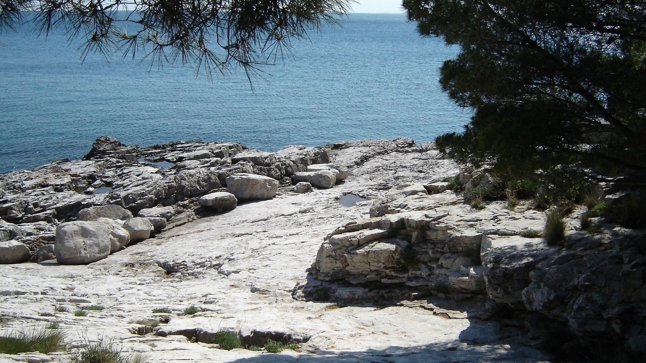 Photo of Others in Koromacno
