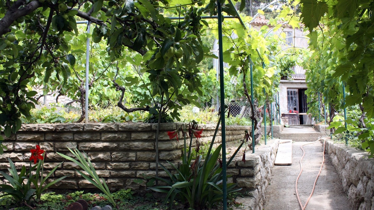 Photo of Outdoor in Kampor