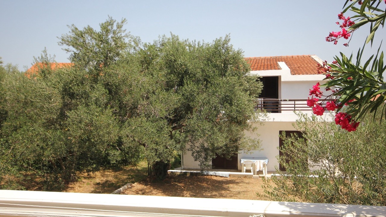 Photo of Outdoor in Tkon