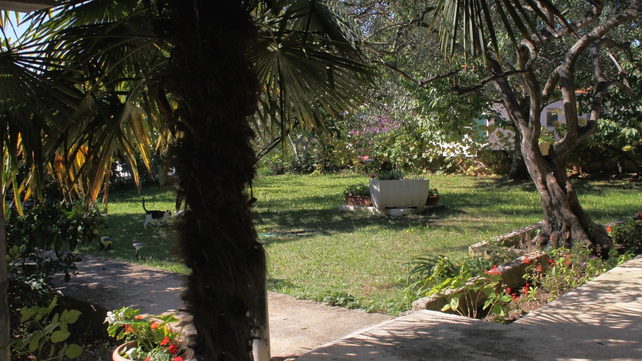 Photo of Others in Kozino