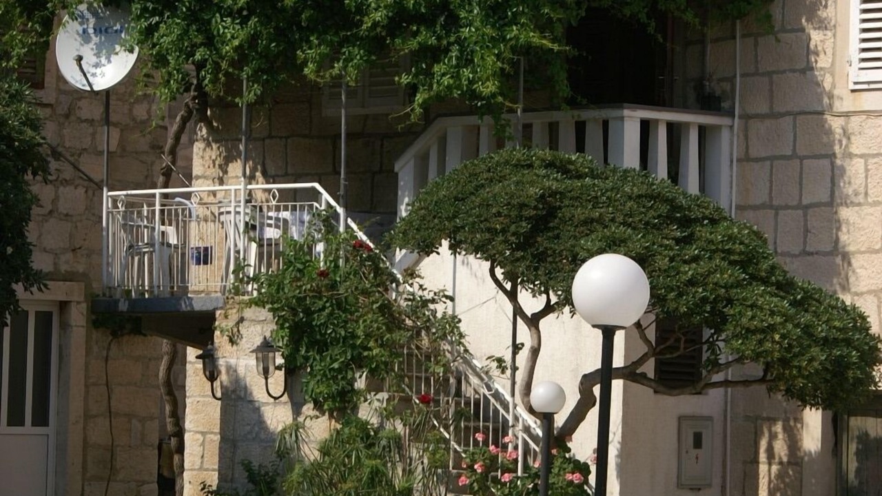 Photo of Outdoor in Trstenik