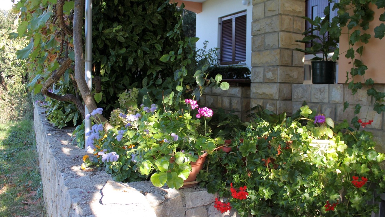 Photo of Outdoor in Kozino