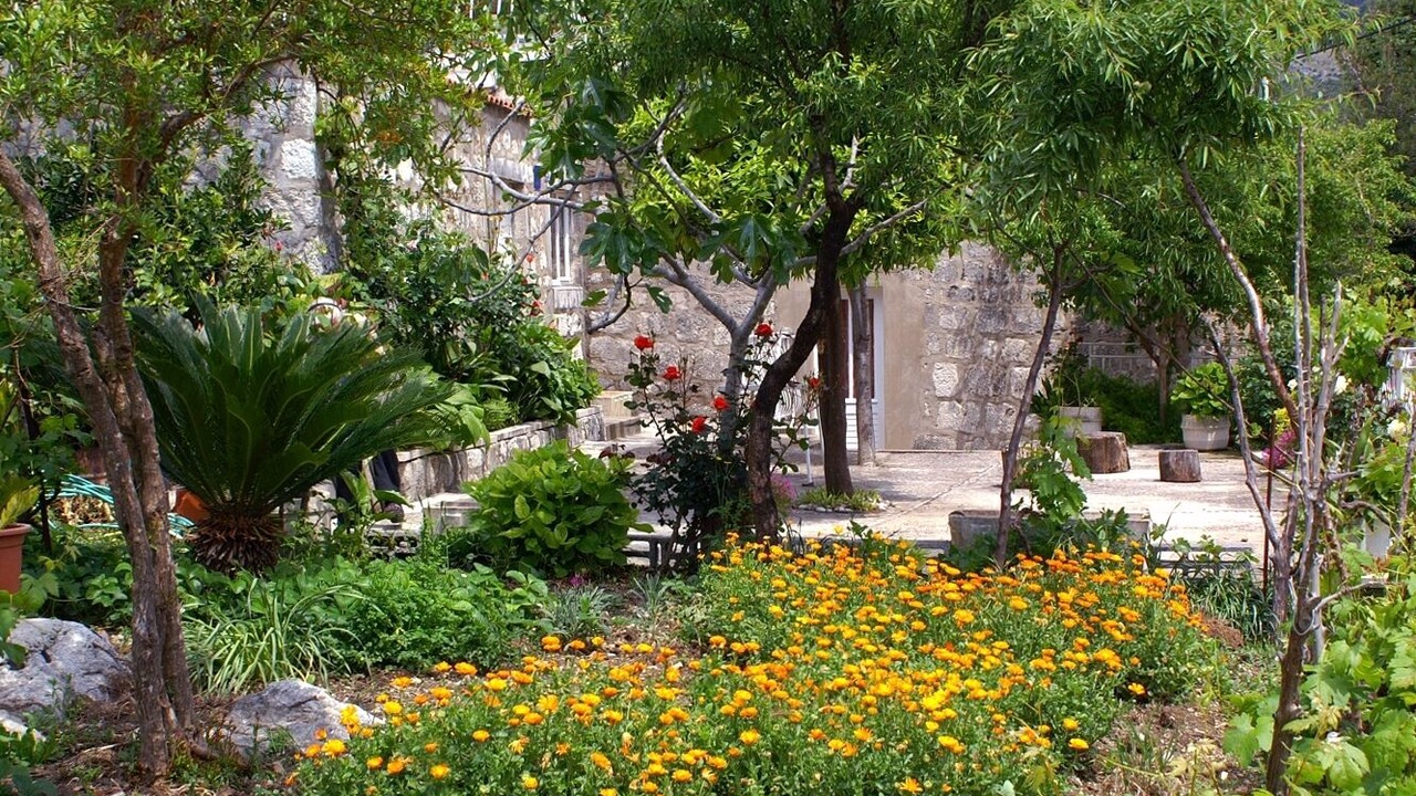 Photo of Outdoor in Slano