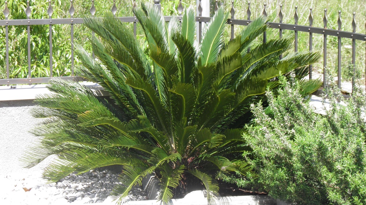 Photo of Outdoor in Brela