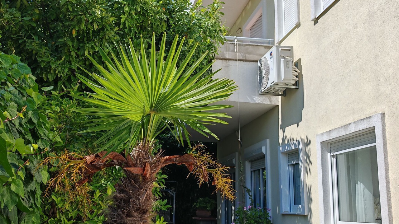Photo of Outdoor in Okrug Gornji