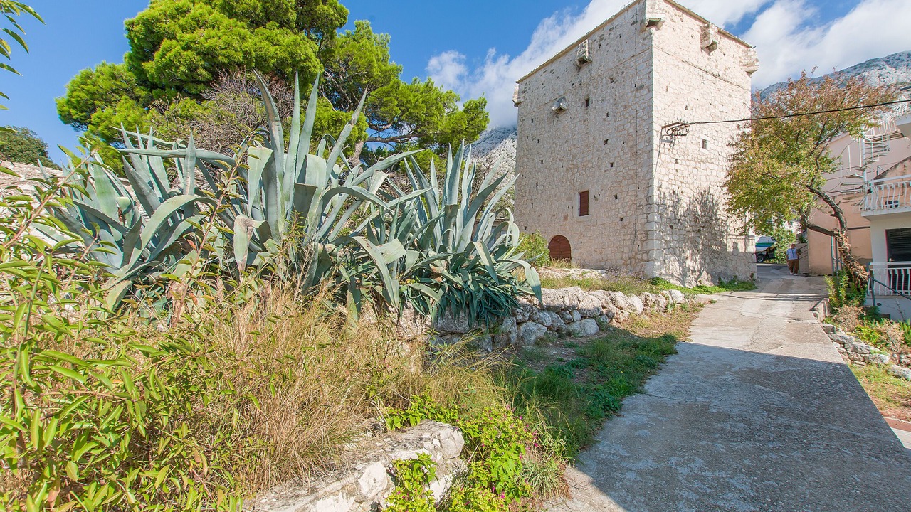 Photo of Outdoor in Igrane