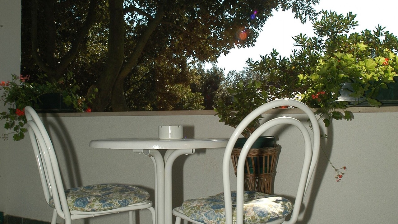 Photo of Others in Petrcane